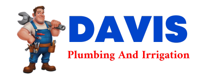 Trusted plumber in WILLARDS